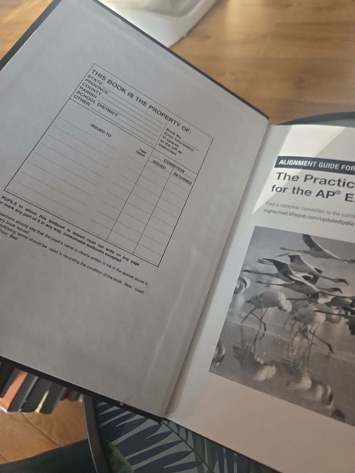 Starnes & Tabor Practice of Statistics for the AP Exam UPDATED 6th Edition
